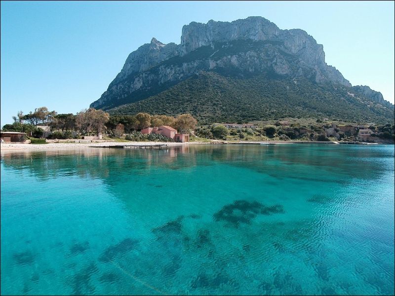 immagine del paesaggio di Loiri con sfondo Tavolara