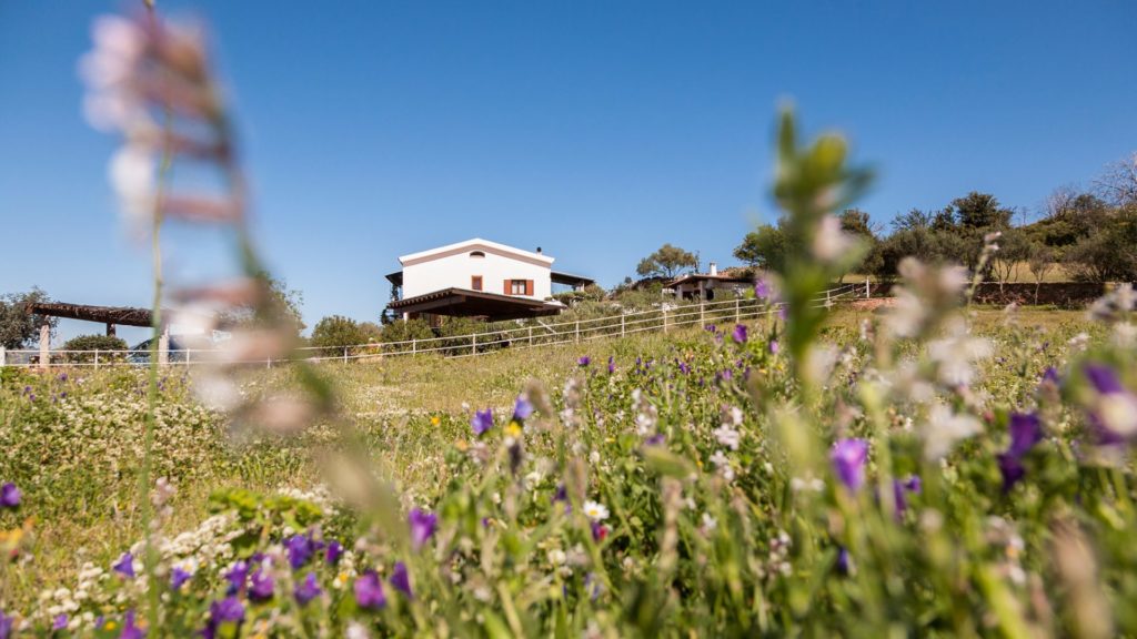 immagine riproduttiva del panorama campestre di Loiri