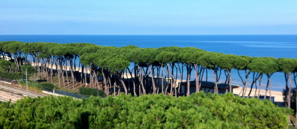 picture of a beach with maritime trees in Alghero Italy sardinia in an articole about travel tips