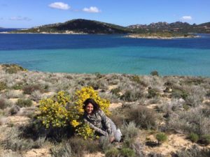 eleonora a isola dei gabbiani palau