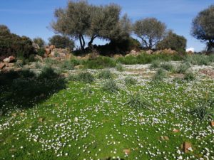 parco del cedrino dorgali sardegna