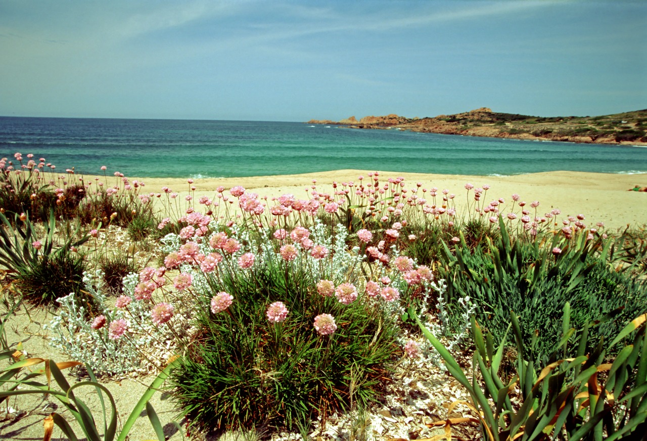 spiagge badesi li junchi