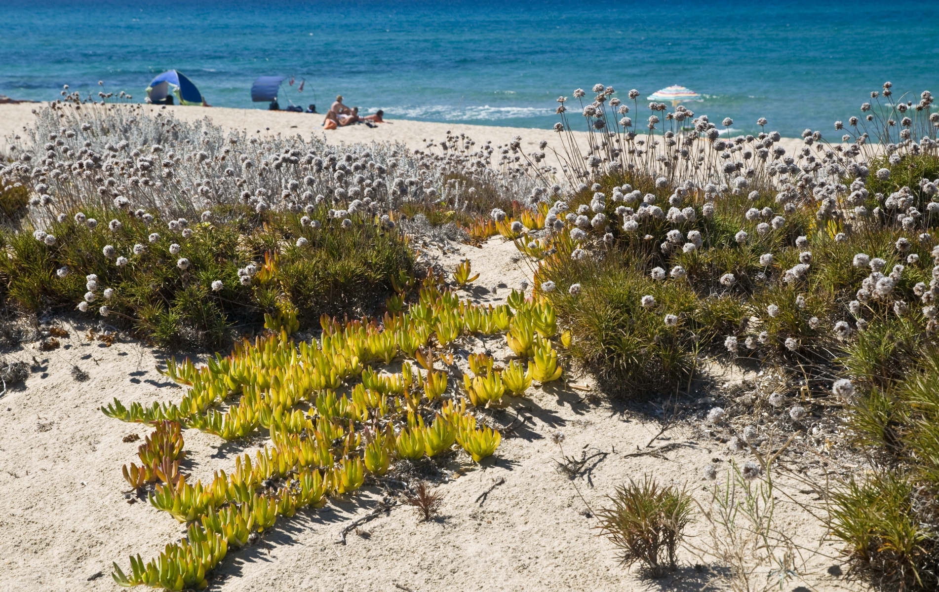 spiaggia li junchi