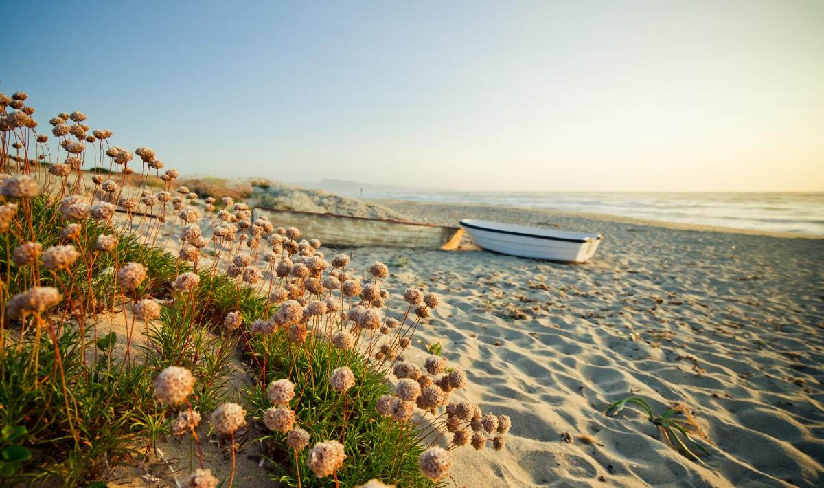 spiaggia li junchi al tramonto