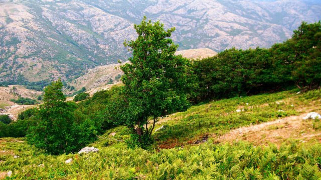 gennargentu sardegna