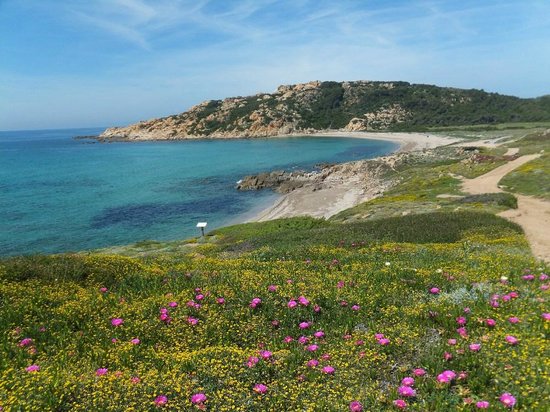 spiaggia di monti russu